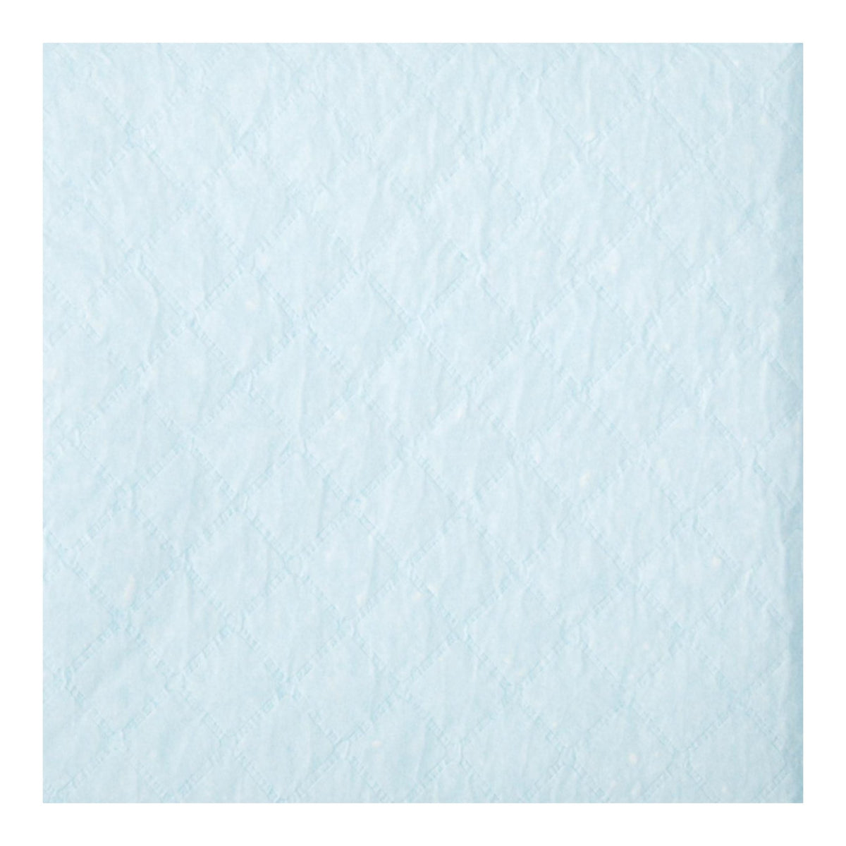 UNDERPAD, FLUFF ECON 23"X36" (25/BG 6BG/CS)