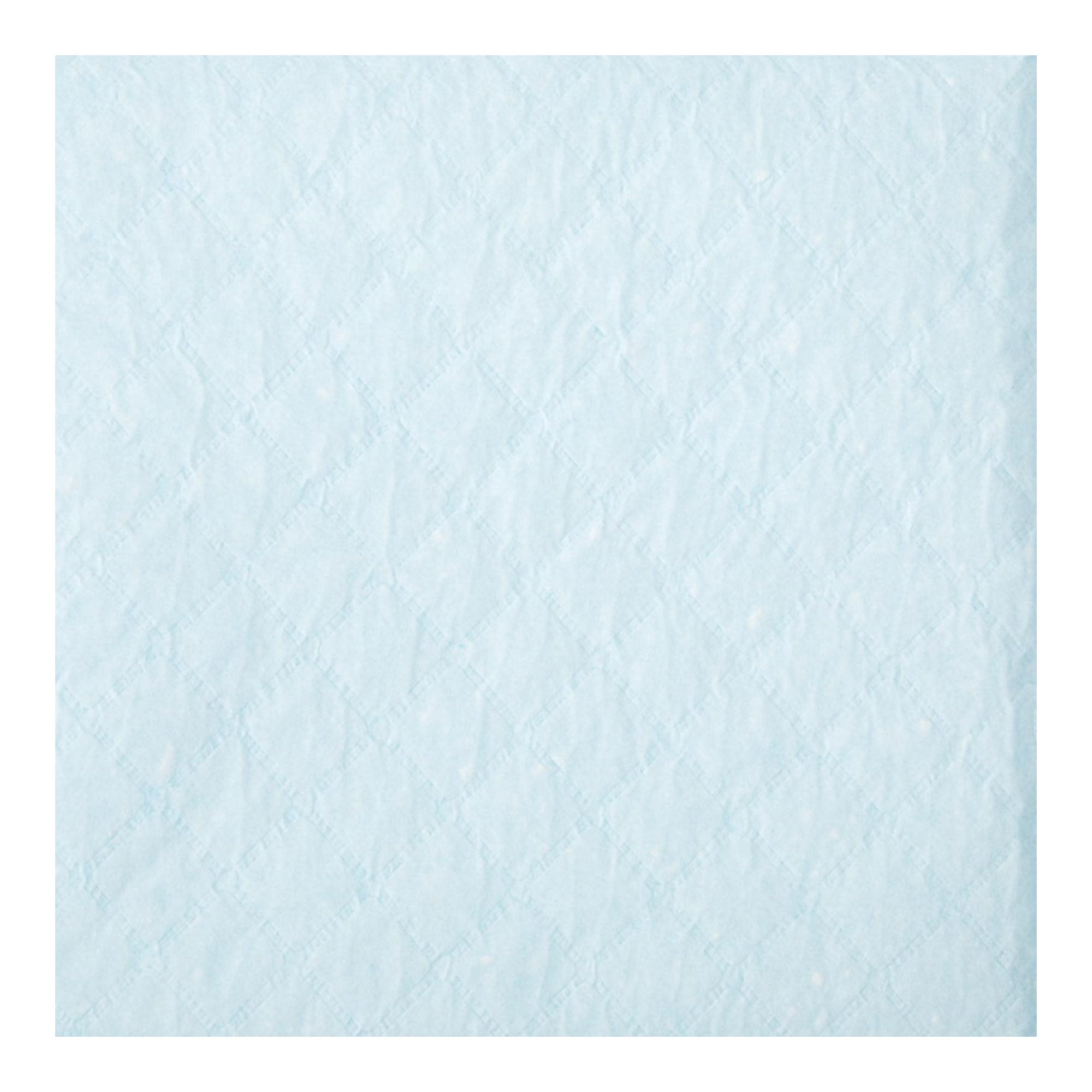 UNDERPAD, FLUFF ECON 23"X36" (25/BG 6BG/CS)