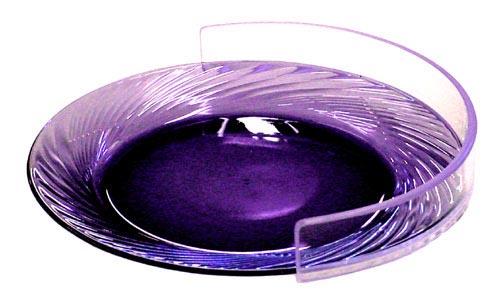 Plate Guard Clear Large