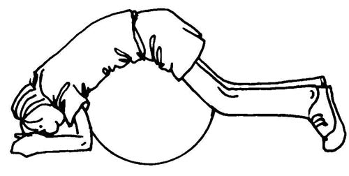 Exercise Cards For Physical Therapy Rolls - Exercise Ball Accessories - Complete Medical