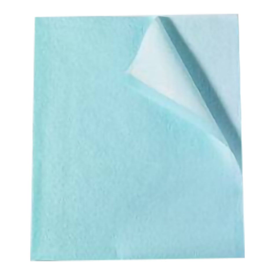 Tidi Everyday Stretcher Sheet, Blue, 30 x 48 Inch-Stretcher Sheet Tidi Everyday Flat 30 W X 48 L Inch Blue Tissue / Poly / Polyethylene Film Disposable