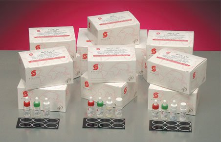 RaPET RF Rheumatoid Factor Latex Agglutination Autoimmune Test Kit-Autoimmune Test Kit RaPET RF Rheumatoid Factor (RF) 50 Tests CLIA Non-Waived