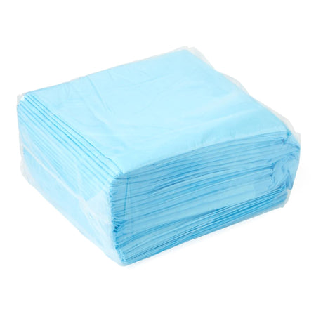 UNDERPAD, FLUFF ECON 23"X36" (25/BG 6BG/CS)