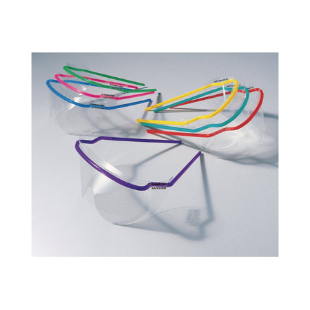 SafeView Replacement Lens-SafeView Replacement Lens