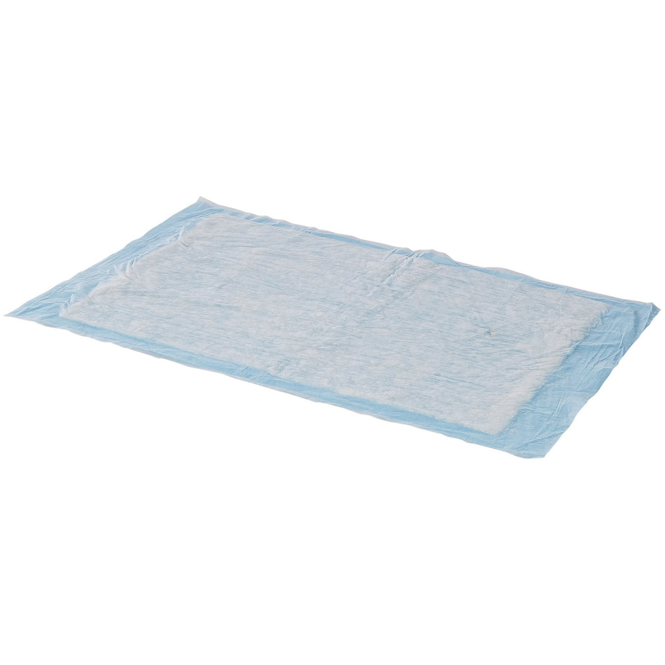 Simplicity Basic Underpad, Disposable, Light Absorbency, 23 x 24 Inch-Disposable Underpad Simplicity Basic 23 X 24 Inch Fluff Light Absorbency