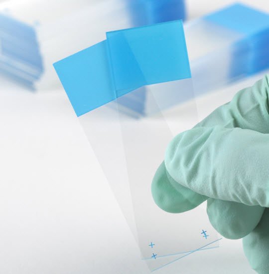 Positive Charged Microscope Slide-Charged Microscope Slide Diamond White Glass 25 X 75 X 1 mm Blue Frosted End