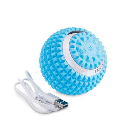 Kanjo Vibrating Acupressure Foot Pain Relief Ball-Acupressure Foot Massager Kanjo 4 Inch Diameter