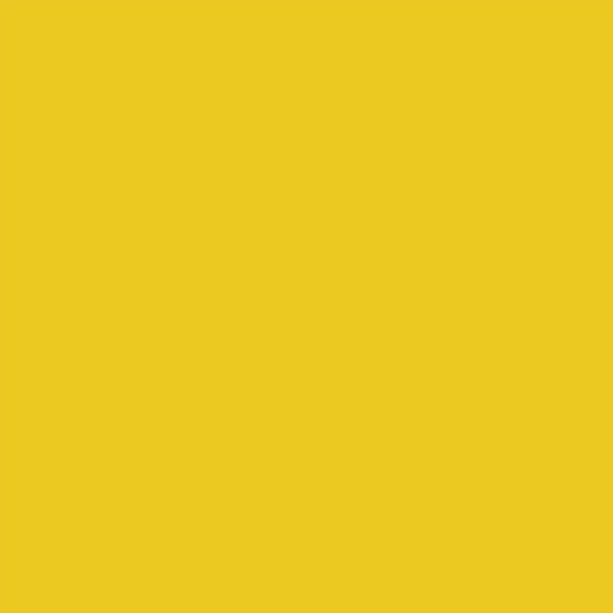 Proscope Disposable Stethoscope, Binaural, Yellow, 22 Inch-Disposable Stethoscope Proscope 664 Yellow 1-Tube 22 Inch Tube Single Sided Chestpiece