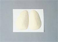 Felt Metatarsal Pad 3/8 Large Pair