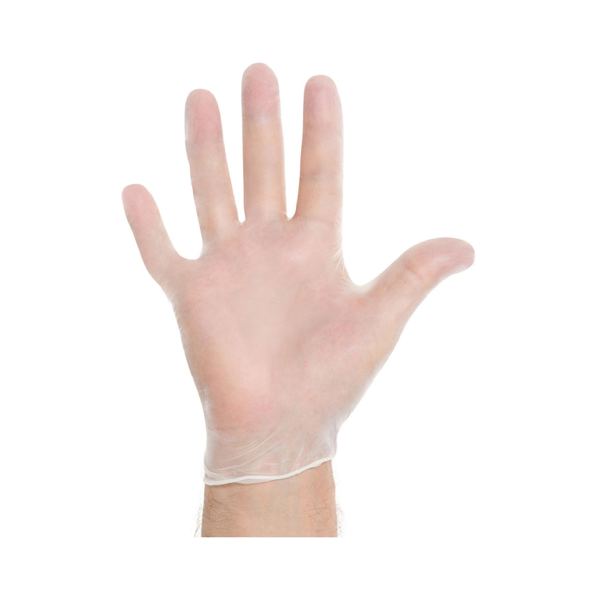 Halyard™ Vinyl Exam Glove, Large, Clear - Gloves>Exam Gloves - O&M Halyard Inc