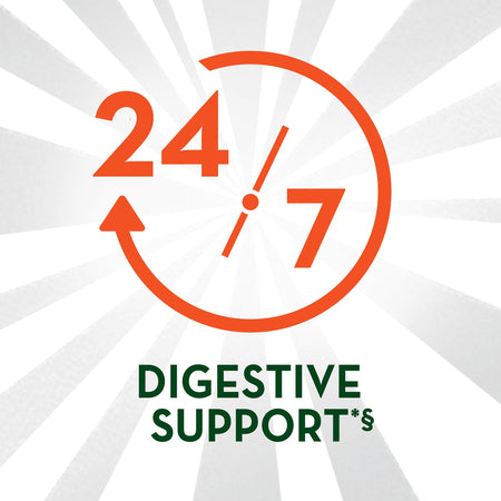 Align 24/7 Digestive Support Probiotic Supplement Capsules-Probiotic Dietary Supplement Align 28 per Box Capsule