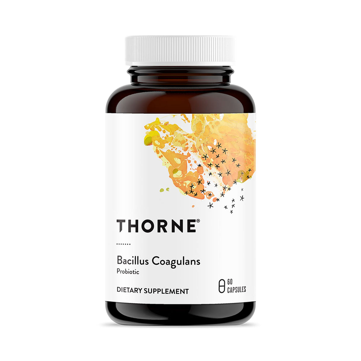 Thorne Bacillus Coagulans Probiotic Dietary Supplement-Probiotic Dietary Supplement THORNE Bacillus Coagulans 60 Per Bottle Capsule