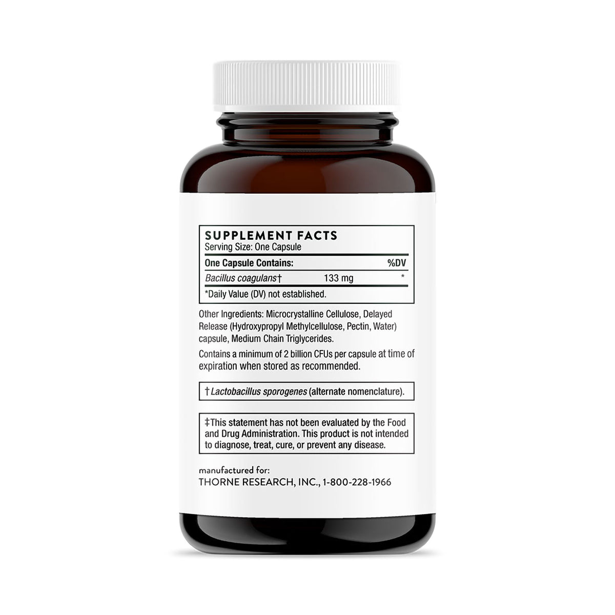 Thorne Bacillus Coagulans Probiotic Dietary Supplement-Probiotic Dietary Supplement THORNE Bacillus Coagulans 60 Per Bottle Capsule