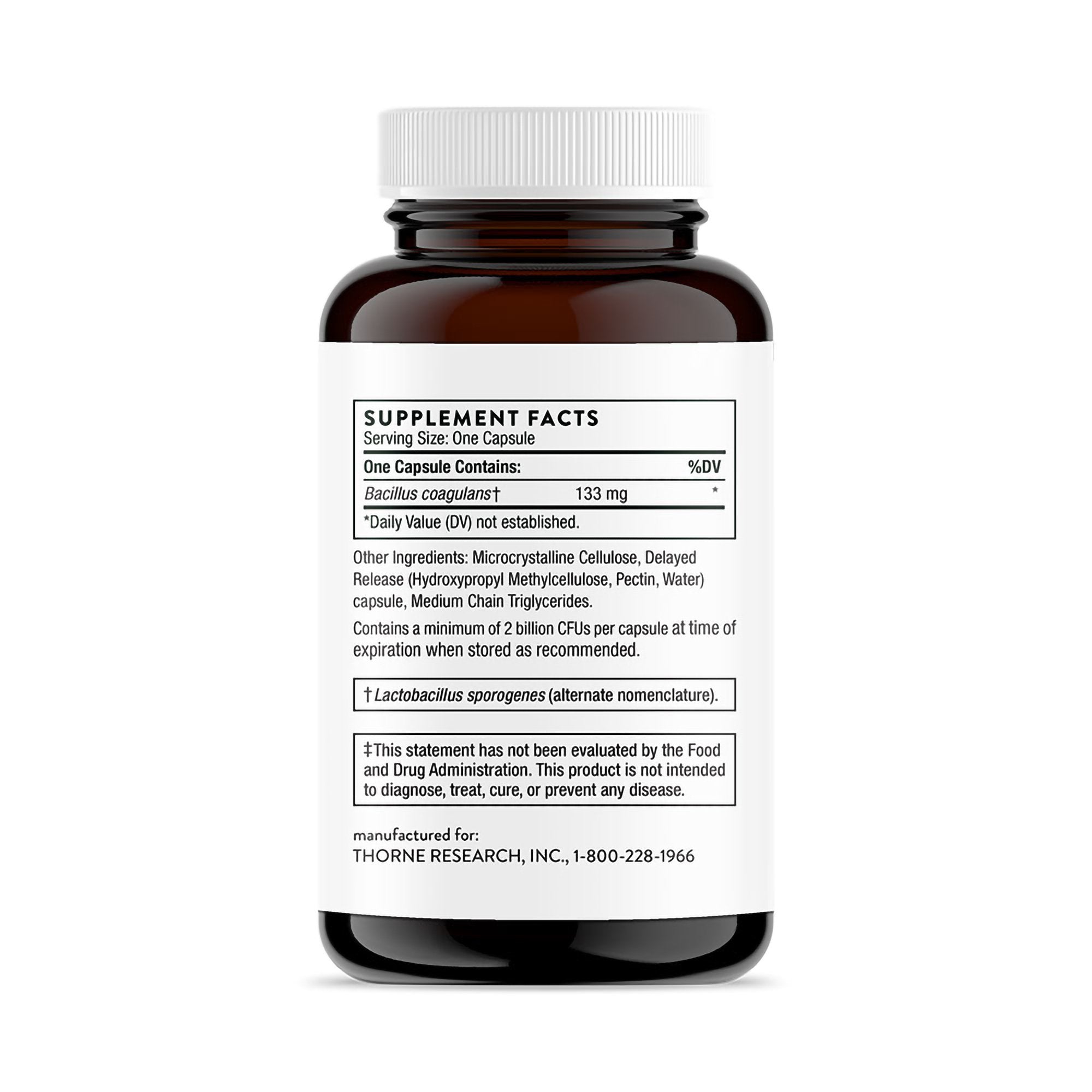 Thorne Bacillus Coagulans Probiotic Dietary Supplement-Probiotic Dietary Supplement THORNE Bacillus Coagulans 60 Per Bottle Capsule