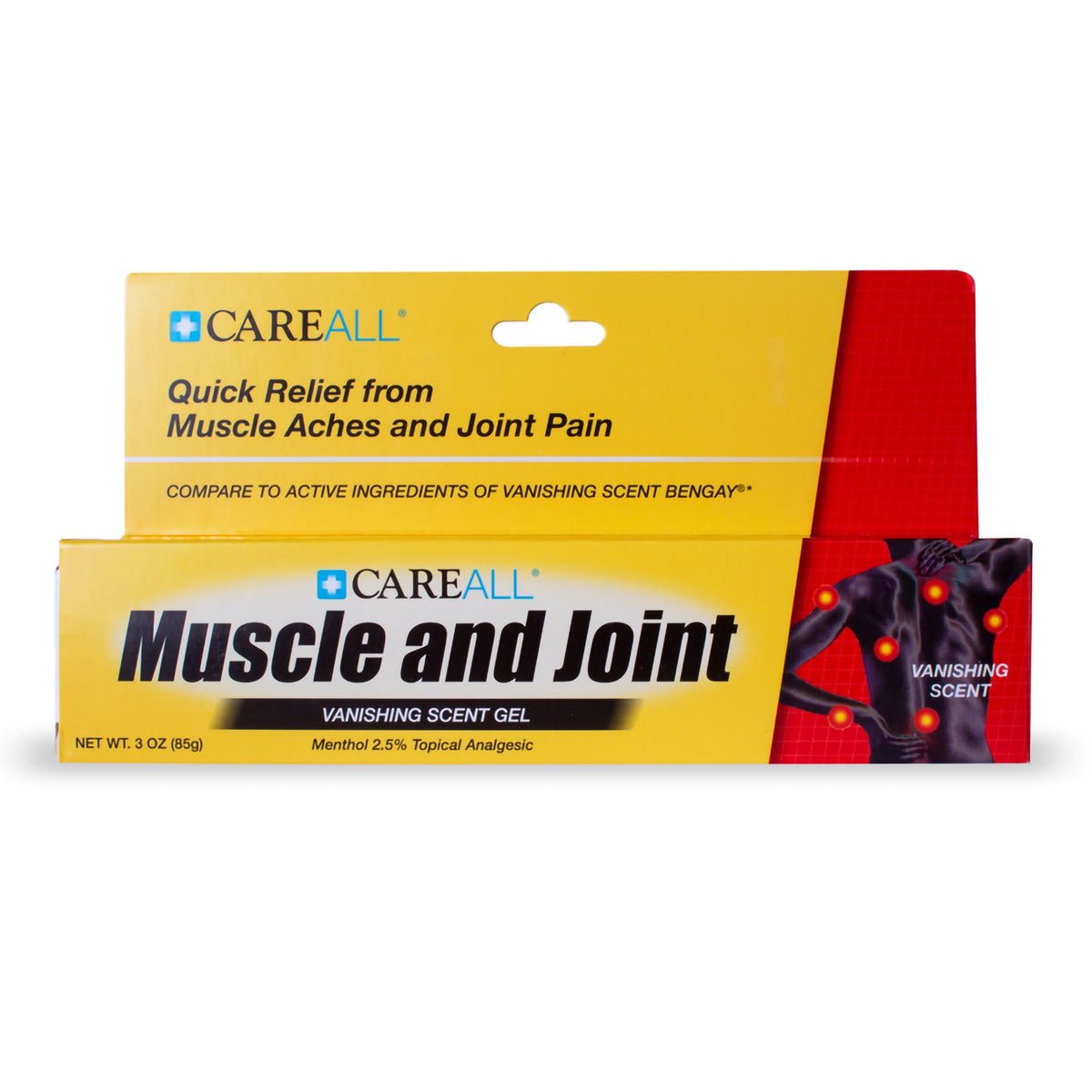 CareAll Menthol Topical Pain Relief, 3-ounce tube-Topical Pain Relief CareAll Muscle and Joint 2.5% Strength Menthol Topical Gel 3 oz.