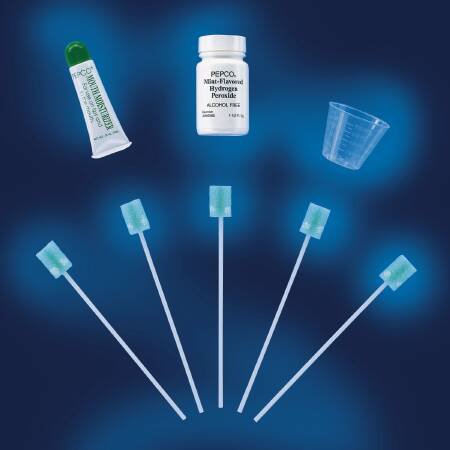 Oral Swab Ready Care® Dentaswab® Dentifrice Foam Tip 1 per Pack