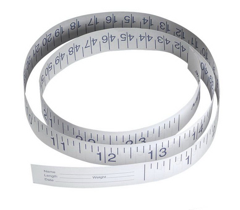 Measurement Tape 24 Inch Paper Disposable Inches / Centimeters