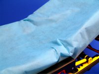 Stretcher Sheet SureFit™ Fitted Sheet 30 W X 84 L Inch Light Blue Nonwoven Polypropylene Disposable