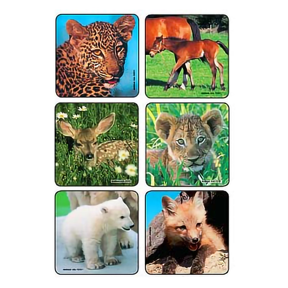 Sticker Kids Love Stickers® 90 per Pack Baby Animal Photos , Assorted 2-1/2 X 2-1/2 Inch - Nurse's Station and Office Supp...