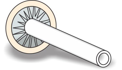 Male External Catheter Uro-Con® Non-Adhesive Latex Large