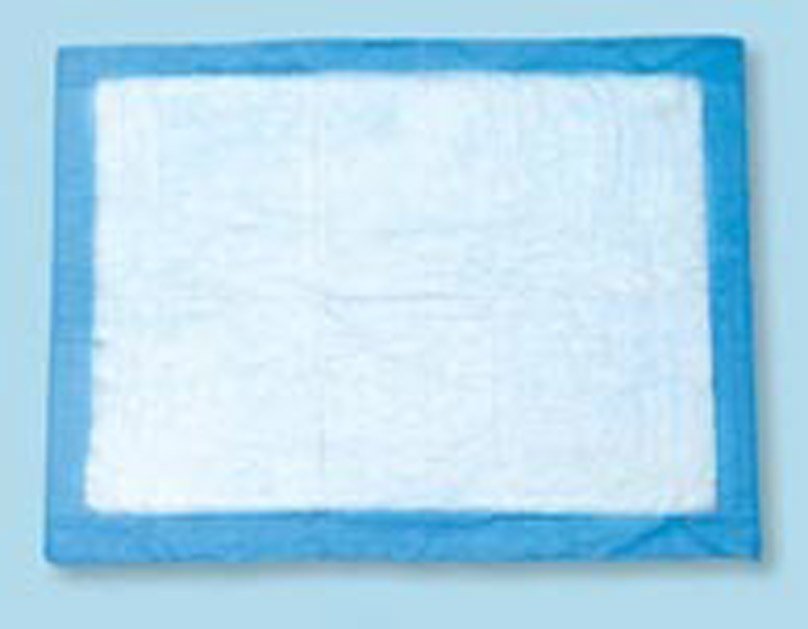 Procedure Underpad Tidi® 22 W X 36 L Inch Blue NonSterile